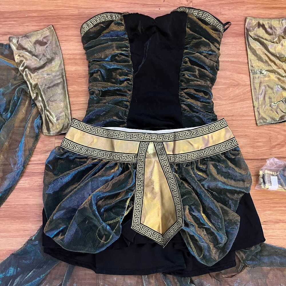Adult Egyptian Goddess Halloween Costume